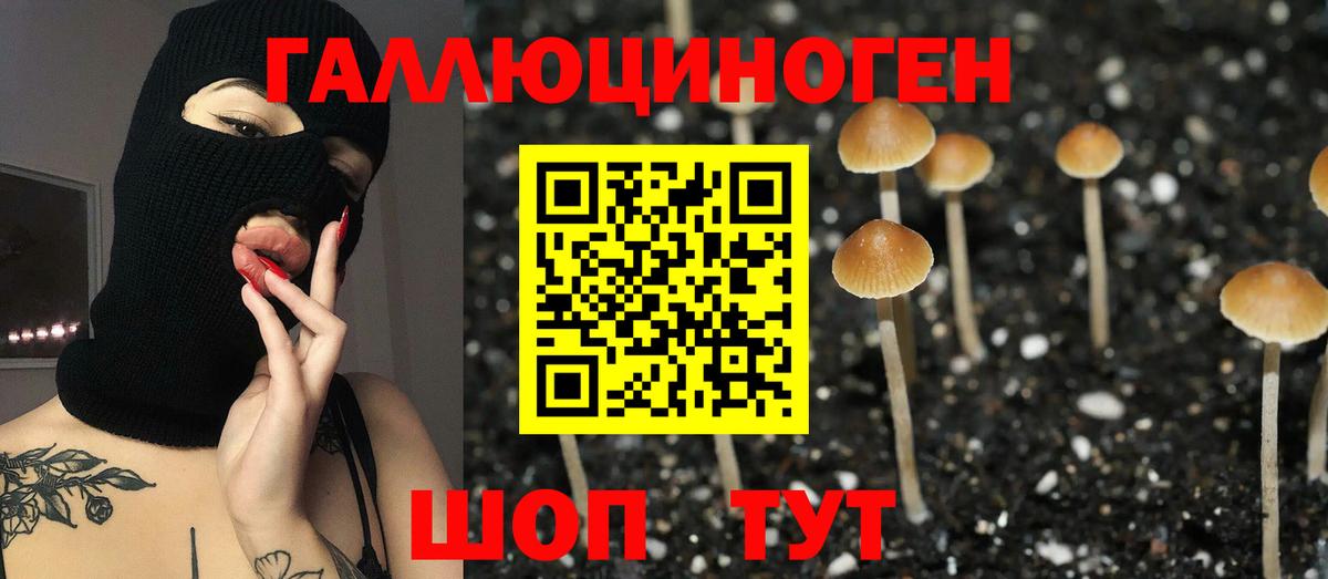 Галлюциногенные грибы Cubensis Артёмовский